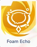 Foam Echo